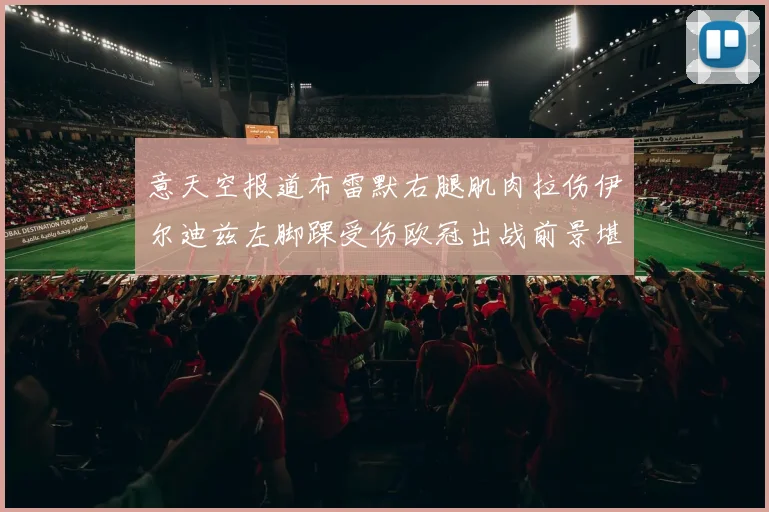 意天空报道布雷默右腿肌肉拉伤伊尔迪兹左脚踝受伤欧冠出战前景堪忧