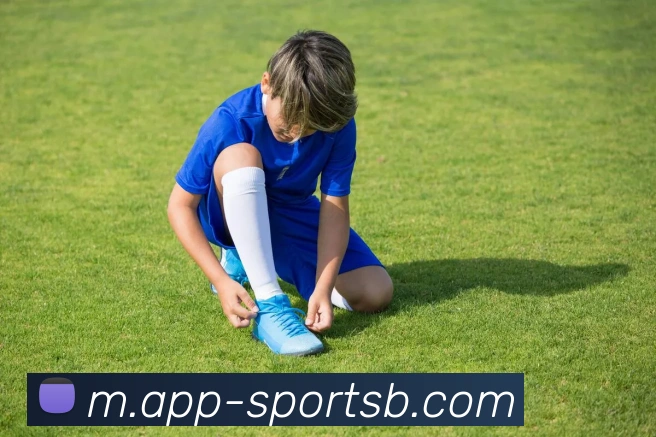 B体育平台生态图